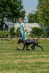 DSC02765