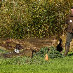 Korthaardag 15 okt 2023