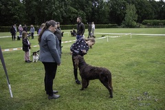 IMG 5051-Verbeterd-NR