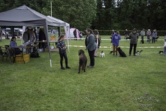 IMG 5052-Verbeterd-NR