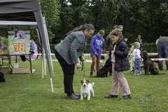 IMG 5059-Verbeterd-NR