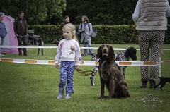 IMG 5064-Verbeterd-NR