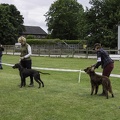 IMG 5141-Verbeterd-NR