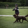 IMG 5148-Verbeterd-NR