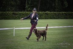 IMG 5171-Verbeterd-NR