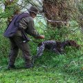 Balou van de Peelven