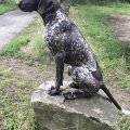 Rex Von Rooten Moor