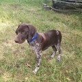 IMG-20220807-WA0017