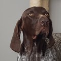 Monty