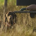 Darco van de Broekse Hoeve