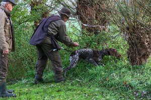 Balou van de Peelven