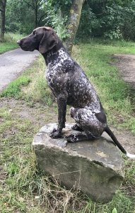 Rex Von Rooten Moor