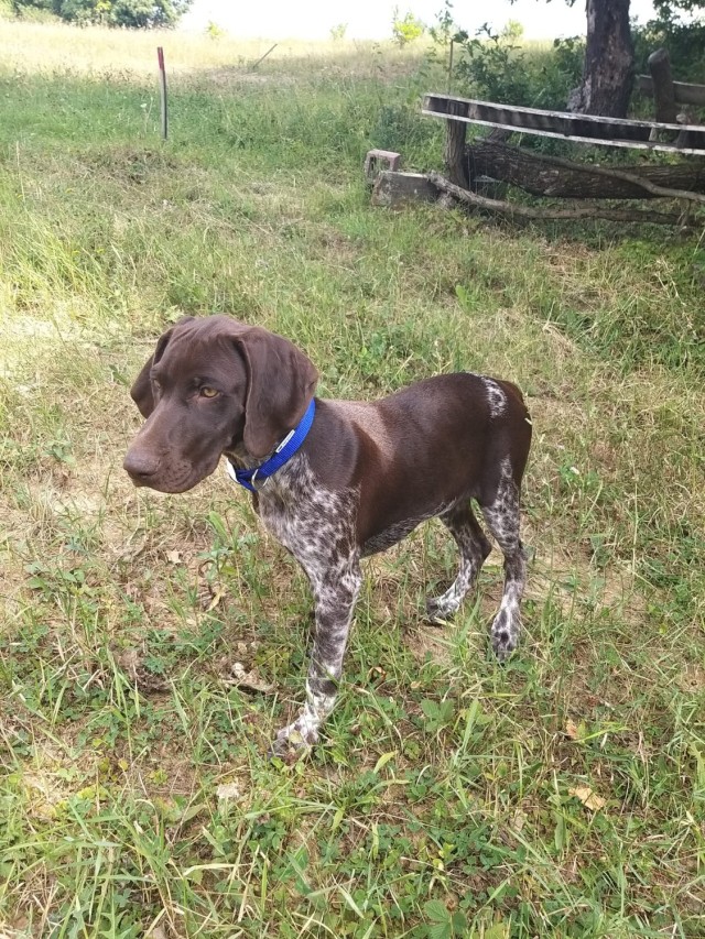 KIRA